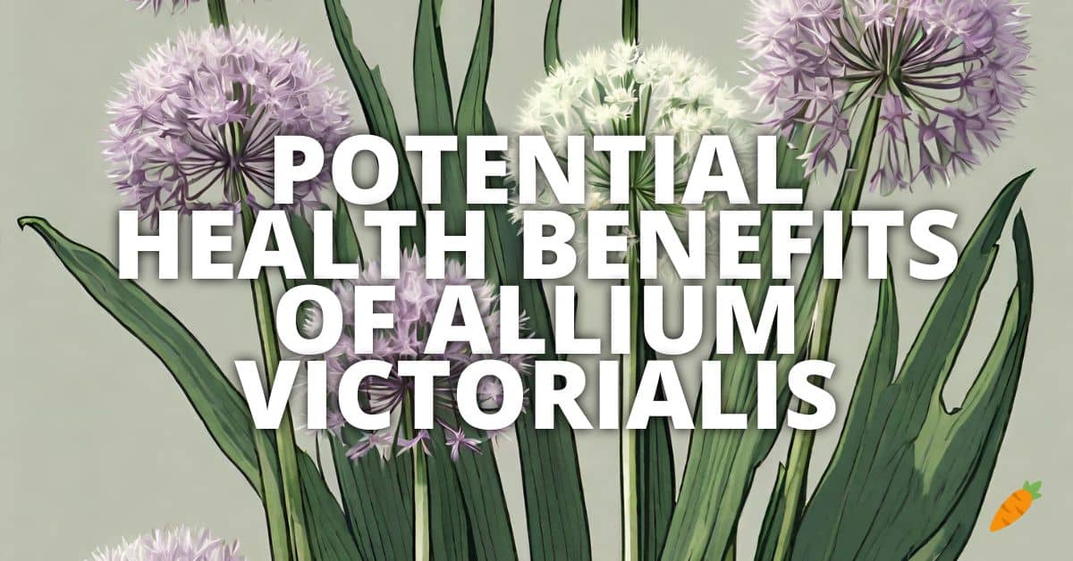 Health Benefits Allium Victorialis