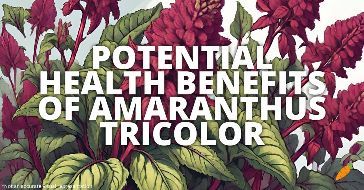 Health Benefits Amaranthus Tricolor