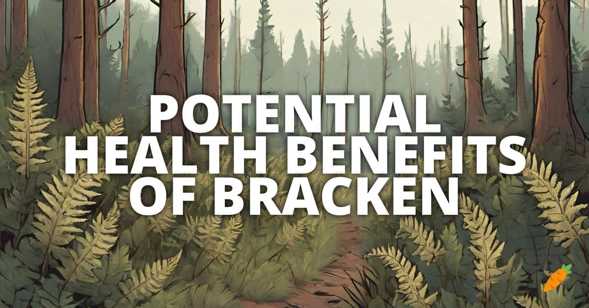 Health Benefits Bracken