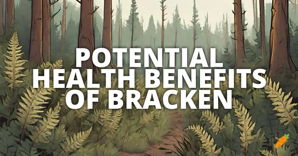 Health Benefits Bracken