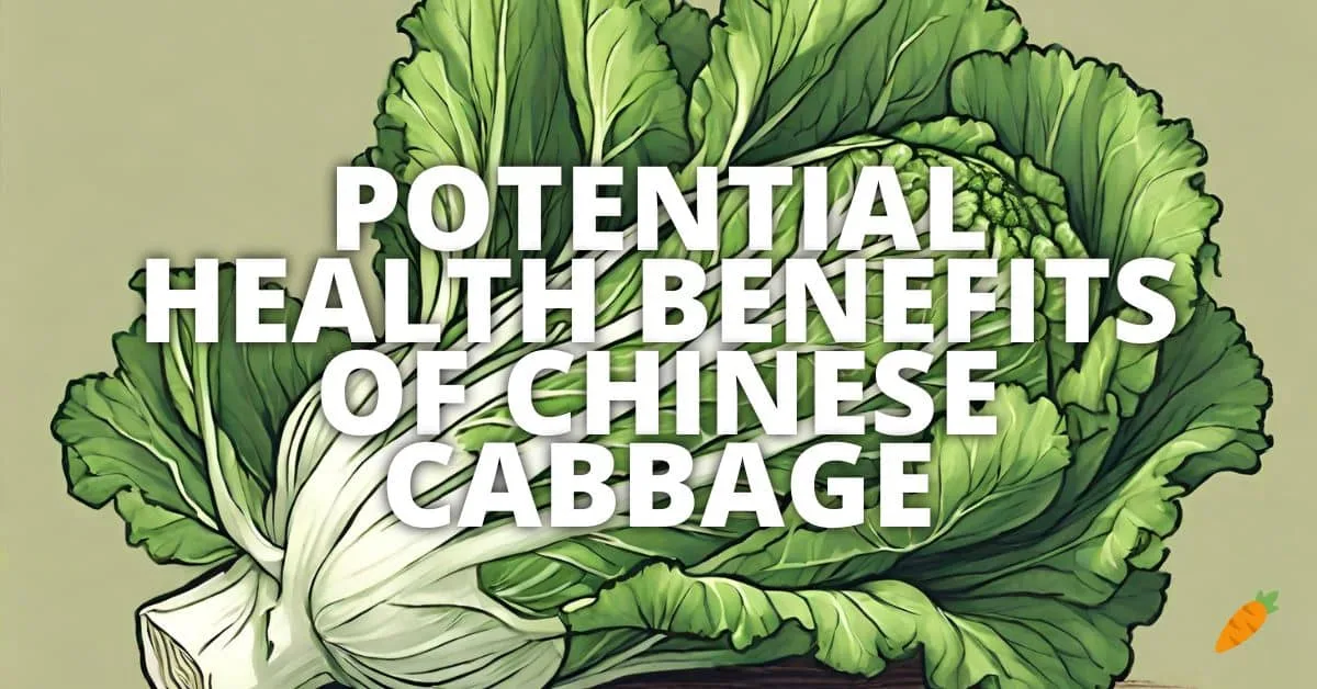 Health Benefits Chinese Cabbage