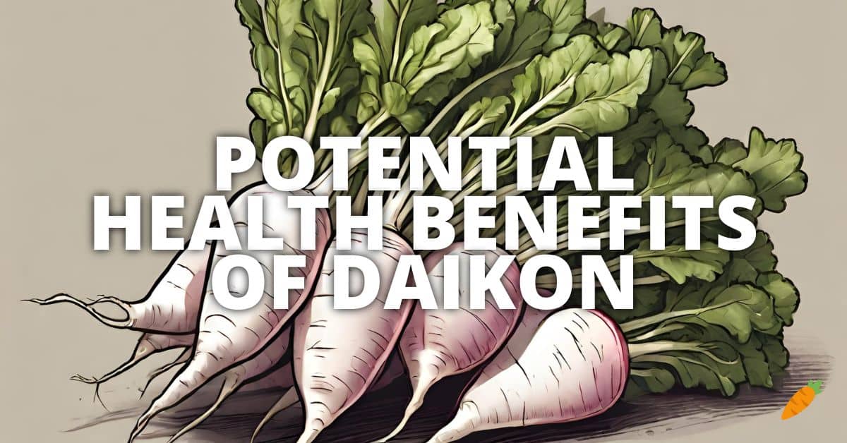 Health Benefits Daikon