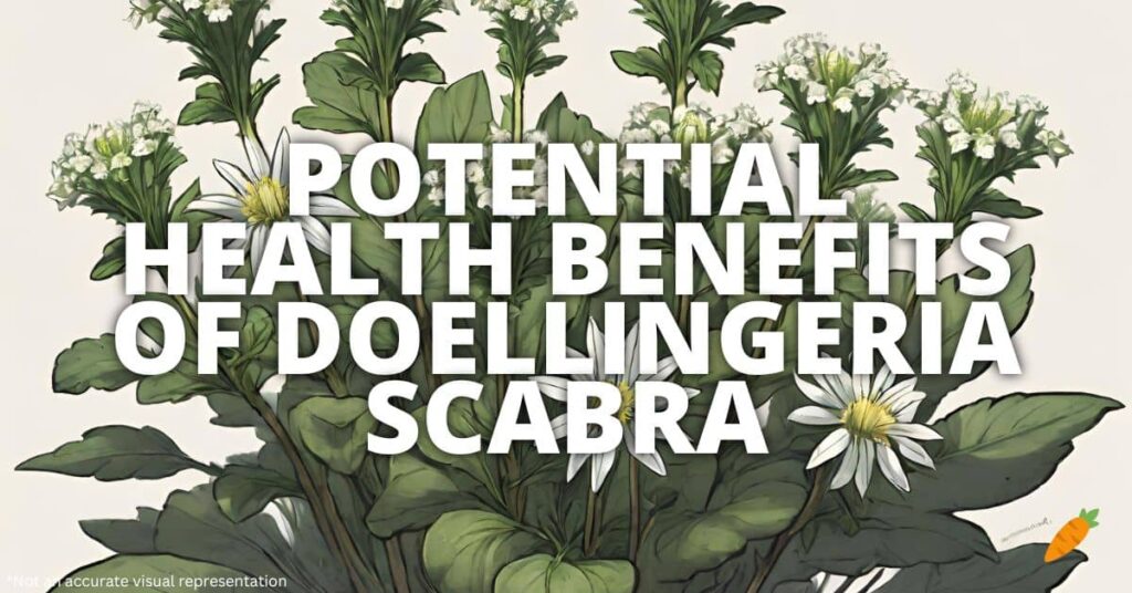 Potential Health Benefits Of Doellingeria Scabra