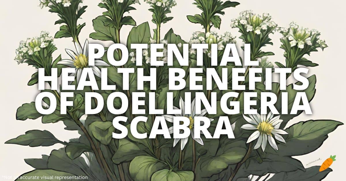 Health Benefits Doellingeria Scabra