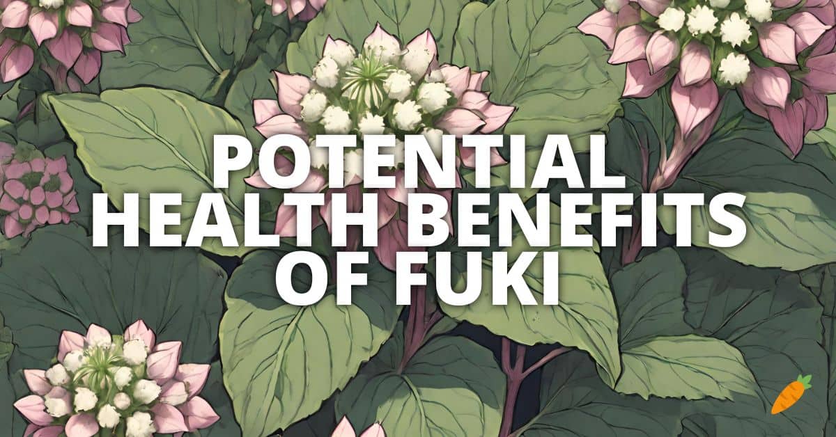 Health Benefits Fuki