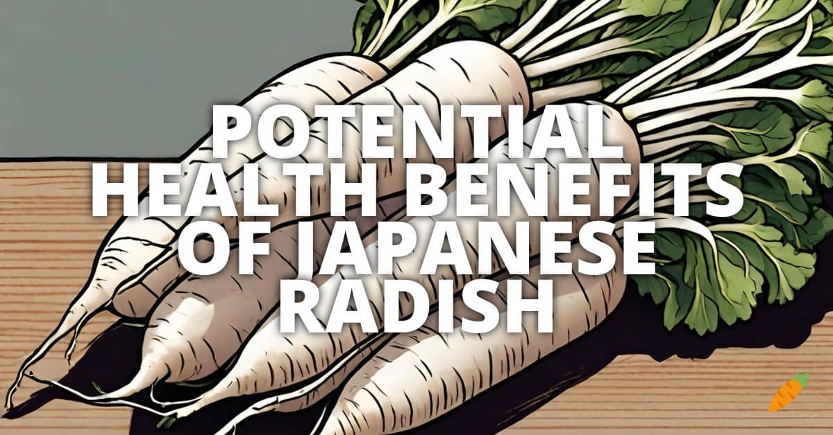 Health Benefits Japanese Radish