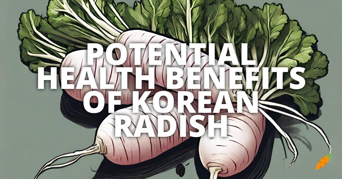 Potential Health Benefits Of Korean Radish