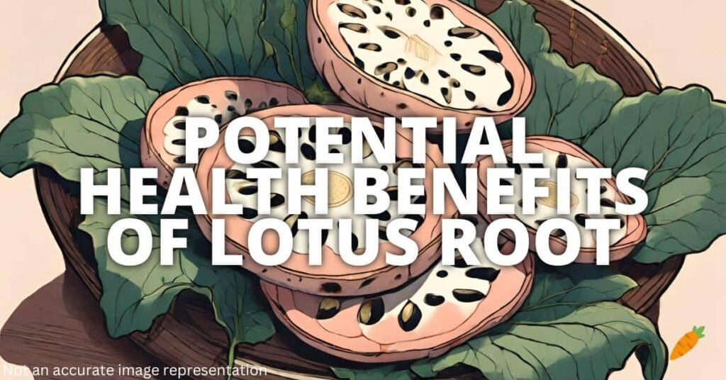 Potential Health Benefits Of Lotus Root