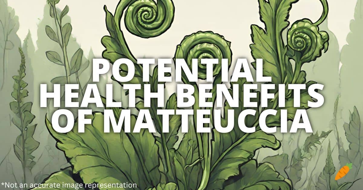 Health Benefits Matteuccia