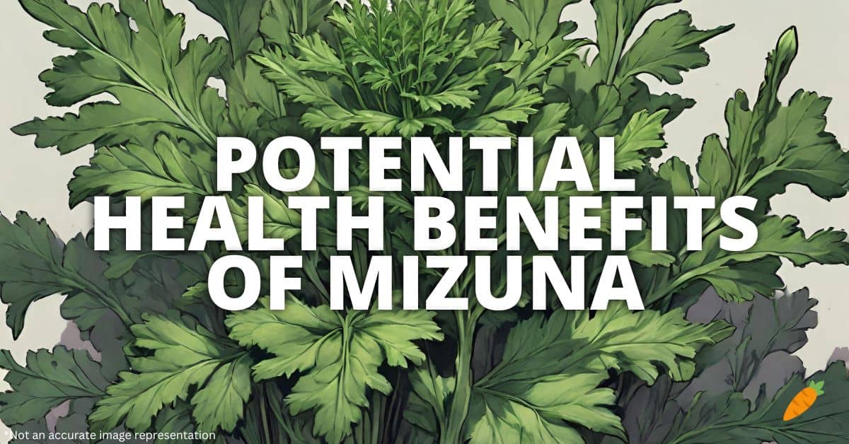 Health Benefits Mizuna