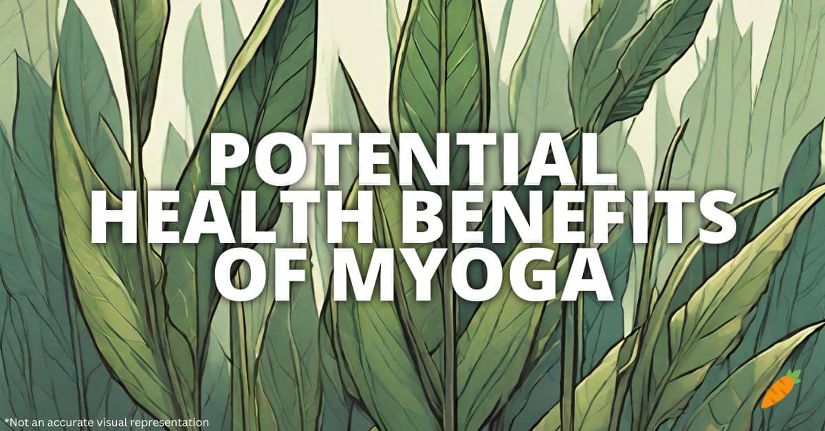 Health Benefits Myoga