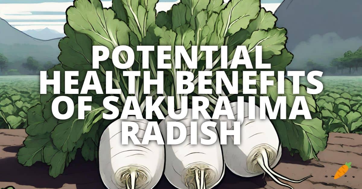 Health Benefits Sakurajima Radish