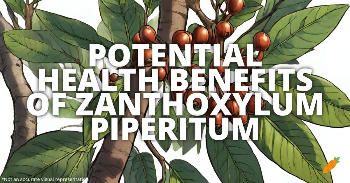 Health Benefits Zanthoxylum Piperitum
