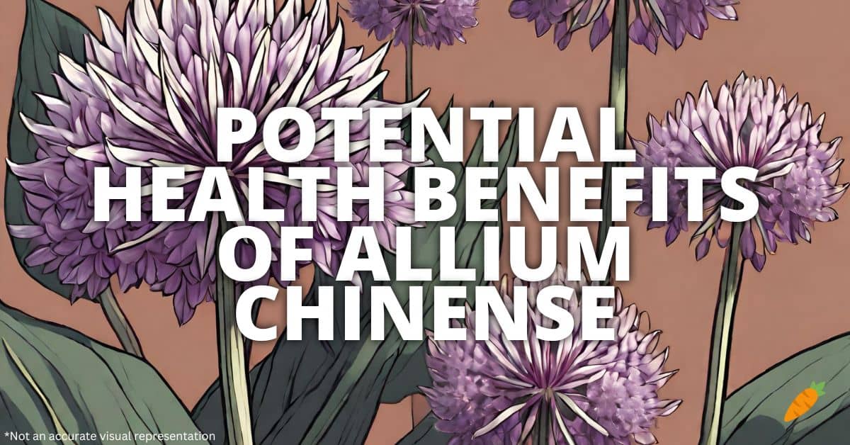 Health Benefits Allium Chinense