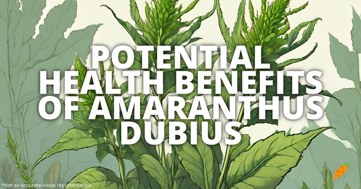 Health Benefits Amaranthus Dubius