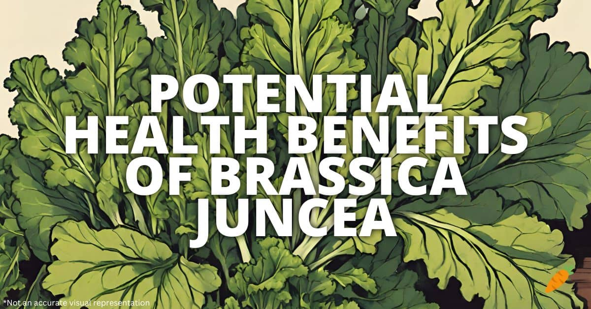 Health Benefits Brassica Juncea