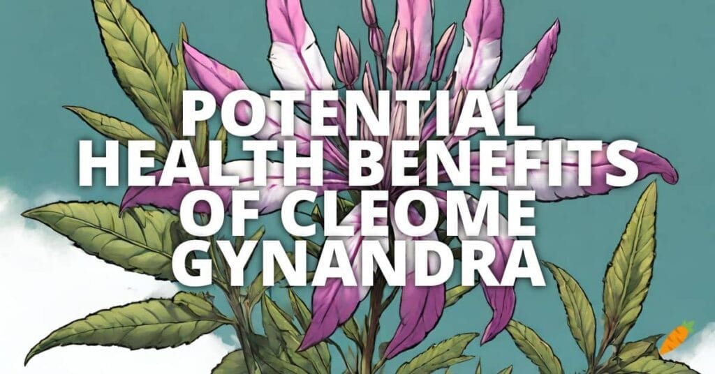 Potential Health Benefits Of Cleome Gynandra