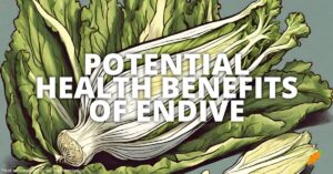 Health Benefits Endive