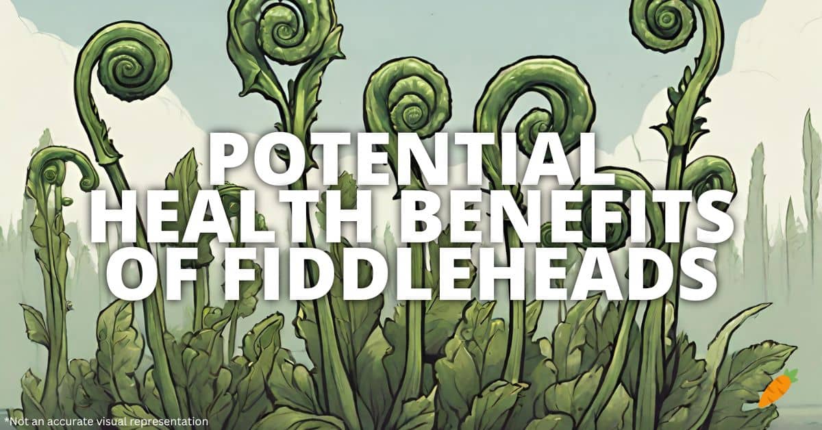 Health Benefits Fiddleheads
