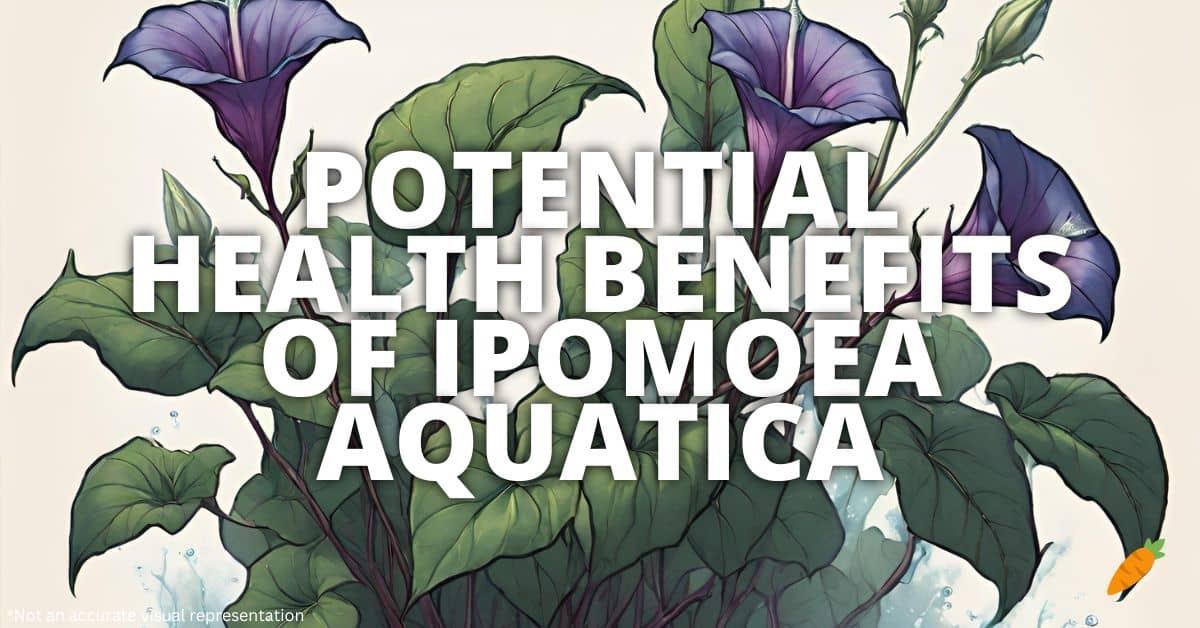 Health Benefits Ipomoea Aquatica