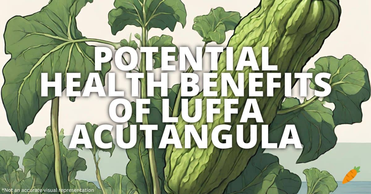Health Benefits Luffa Acutangula