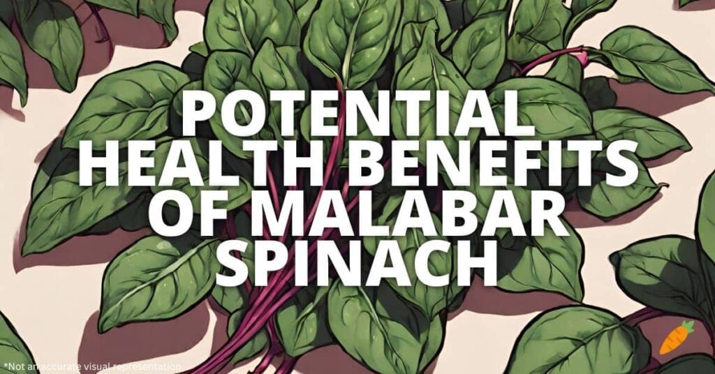 Potential Health Benefits Of Malabar Spinach