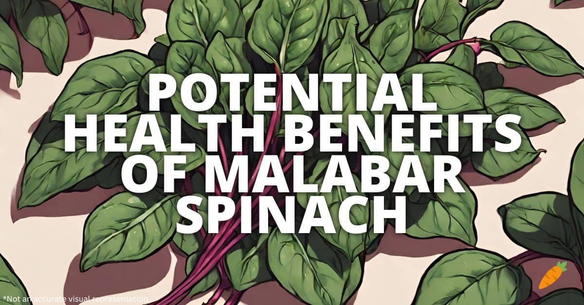 Health Benefits Malabar Spinach