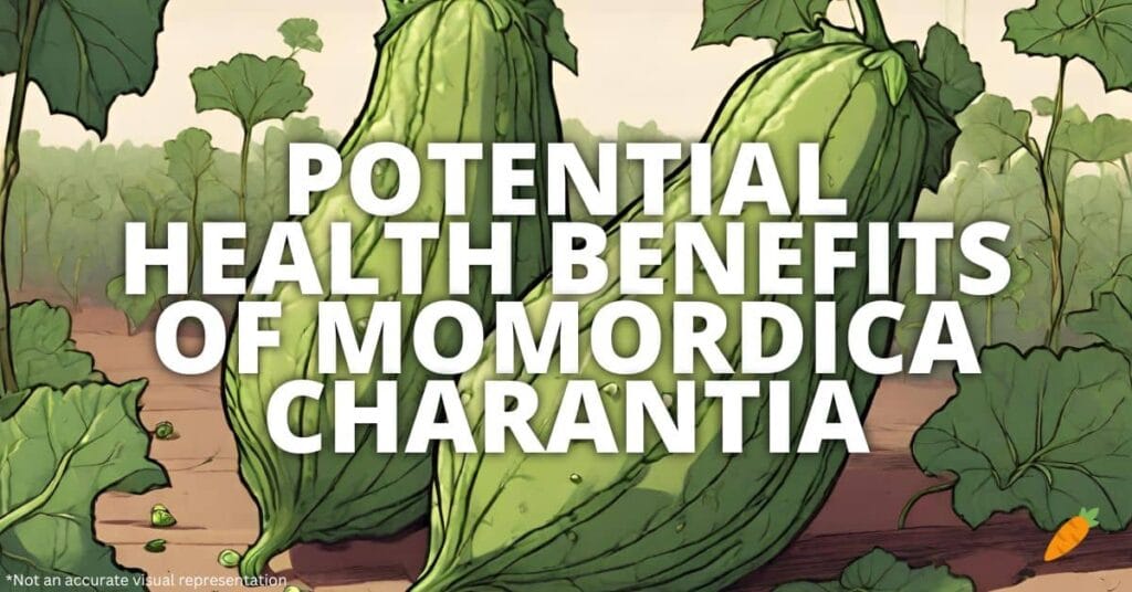 Potential Health Benefits Of Momordica Charantia
