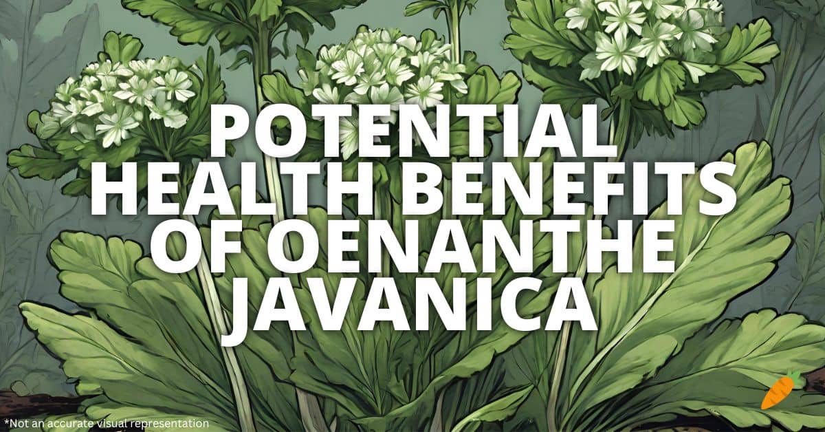 Health Benefits Oenanthe Javanica
