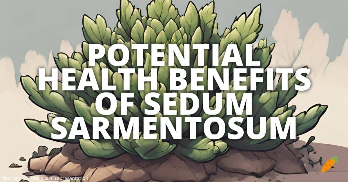 Health Benefits Sedum Sarmentosum
