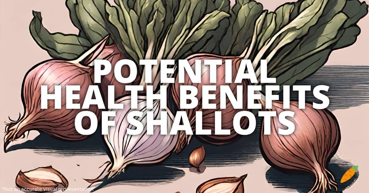 Health Benefits Shallots