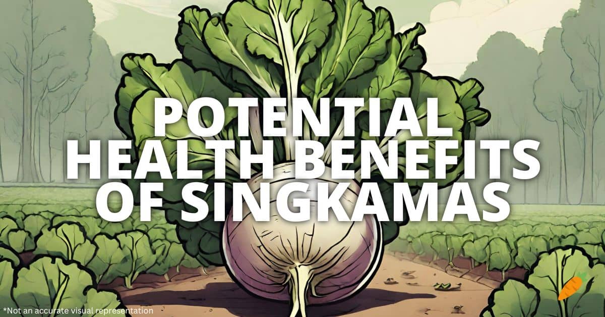 Health Benefits Singkamas