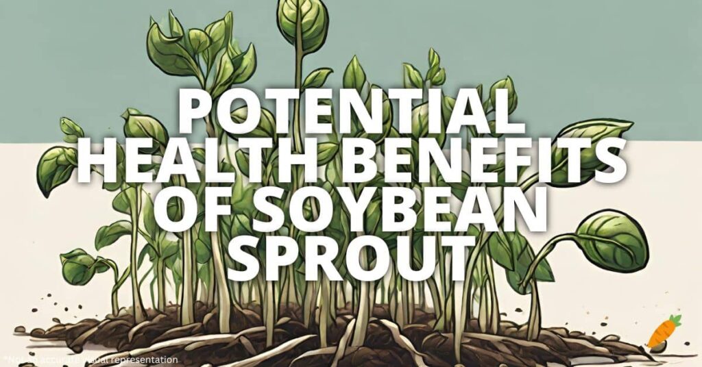 Potential Health Benefits Of Soybean Sprout