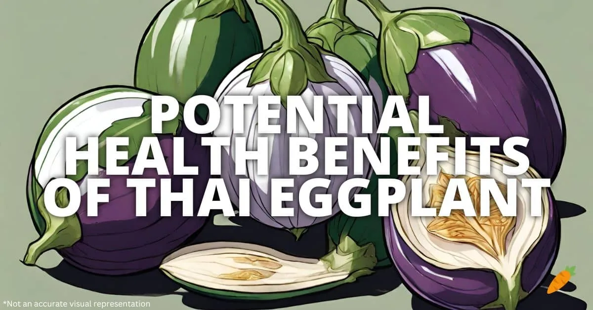 Health Benefits Thai Eggplant