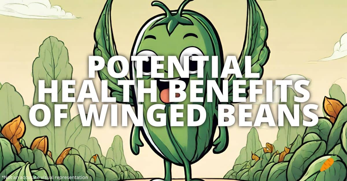 Health Benefits Winged Beans