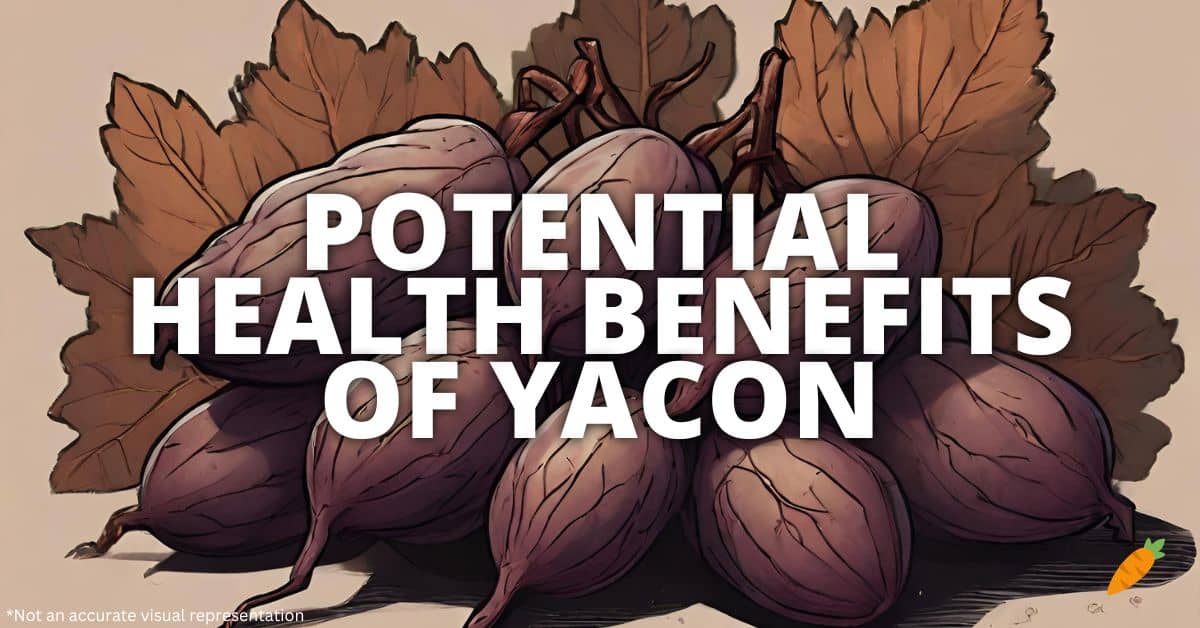 Health Benefits Yacon
