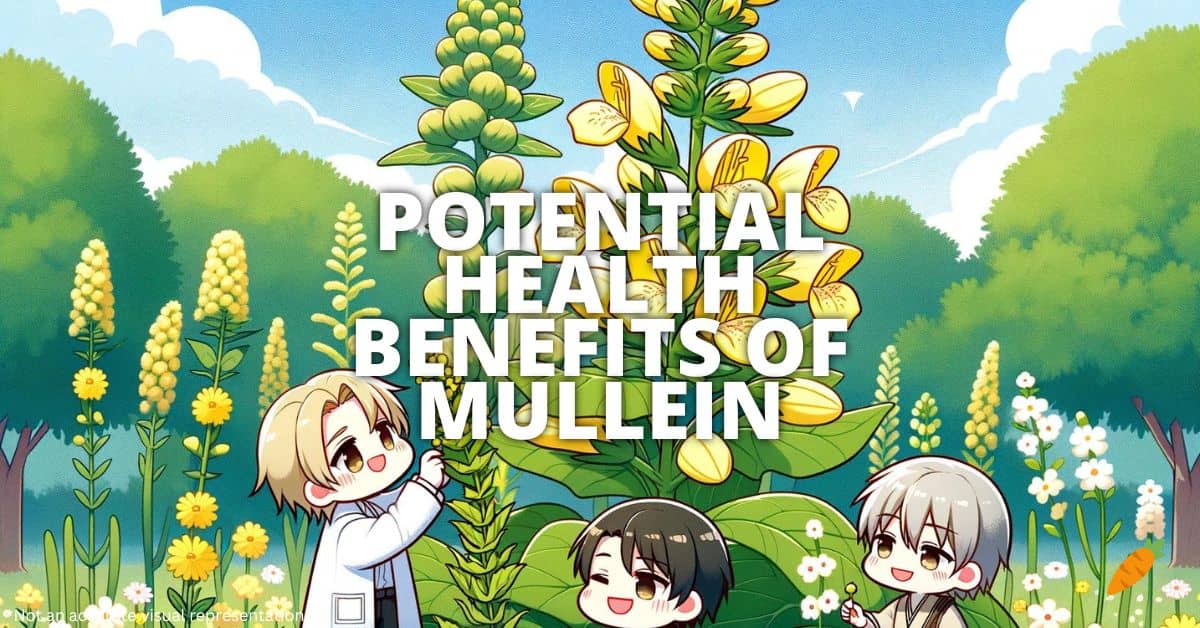 Health Benefits Of Mullein