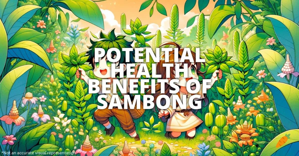 Health Benefits Of Sambong