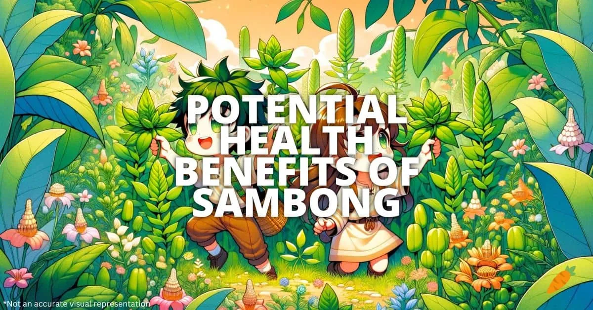 Health Benefits Of Sambong