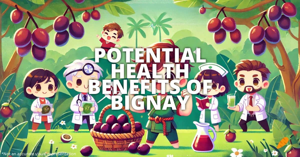Health Benefits Of Bignay