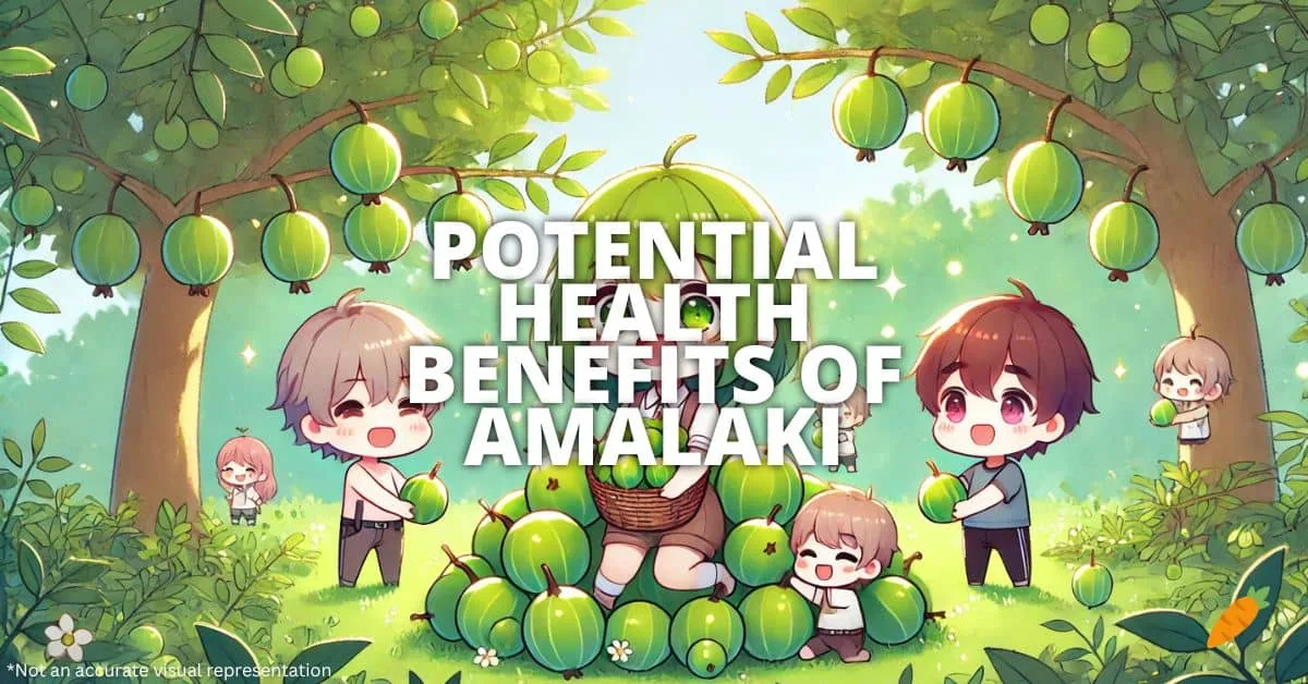 Health Benefits Of Amalaki