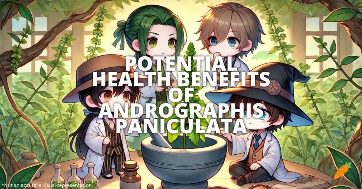 Health Benefits Of Andrographis Paniculata
