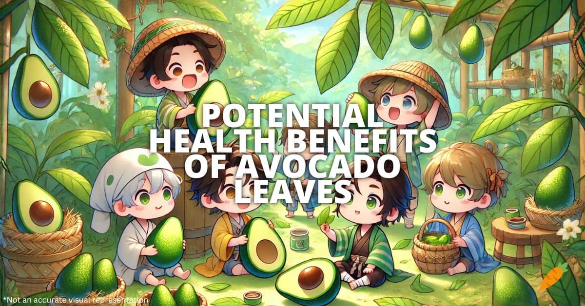 Health Benefits Of Avocado Leaves