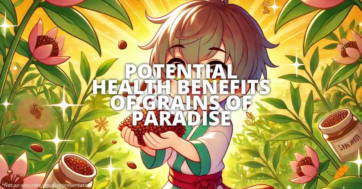 Health Benefits Of Grains Of Paradise