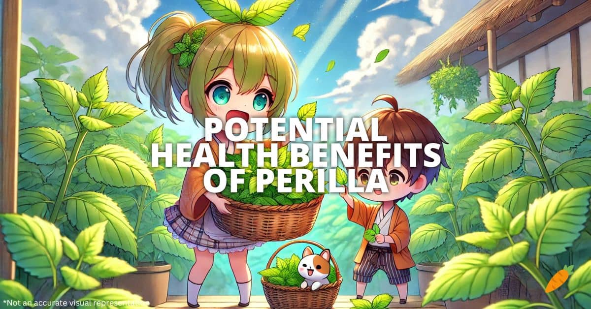 Health Benefits Of Perilla