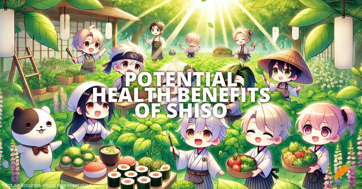 Health Benefits Of Shiso