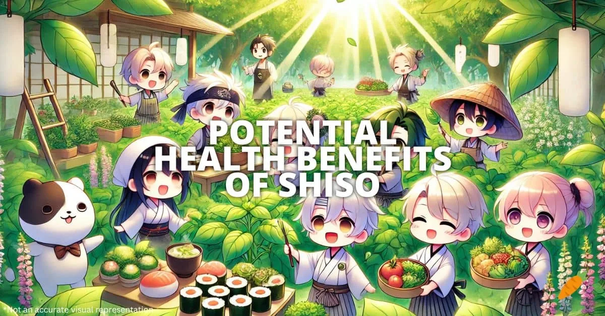 Health Benefits Of Shiso