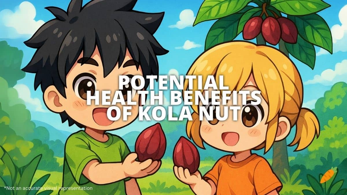 Health Benefits Of Kola Nut