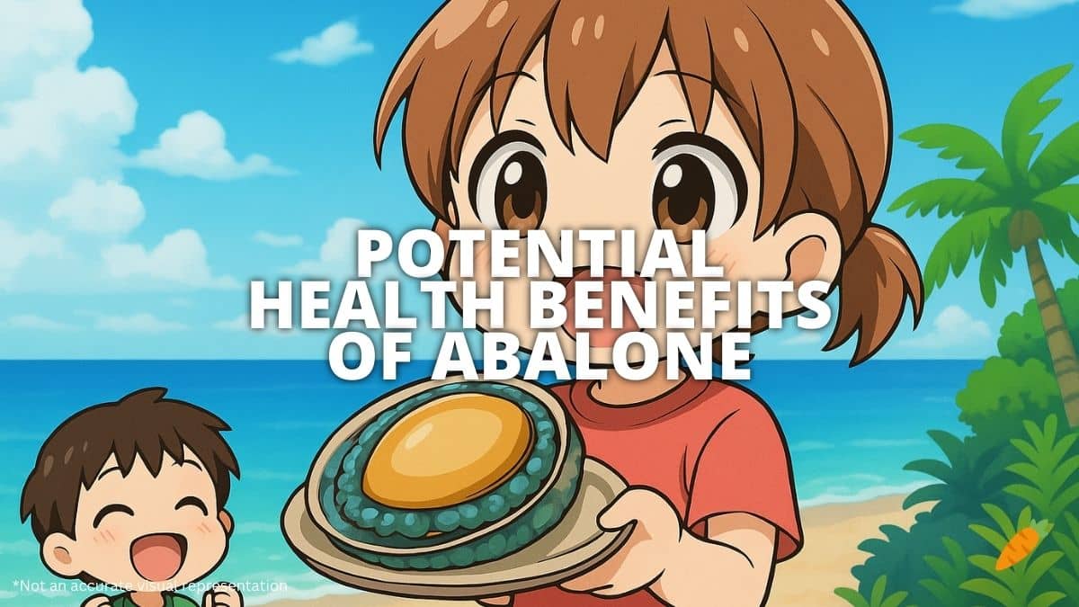 Health Benefits of Abalone