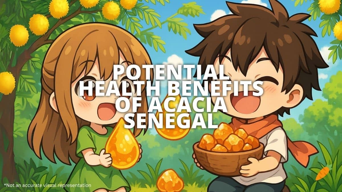 Health Benefits of Acacia Senegal